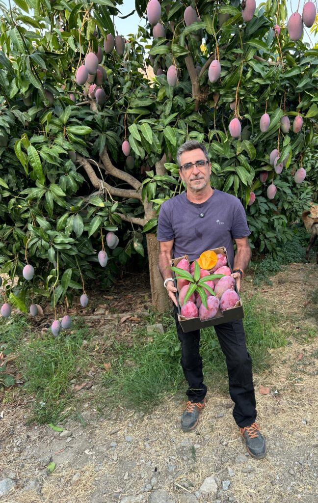 Finca de Mangos