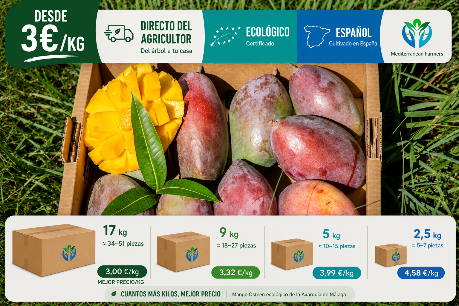 Mango Osteen Ecológico - Imagen 5