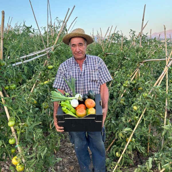 Agricultor mostrando con sus manos una caja con verduras ecológicas de temporada: tomates, calabacines, berenjenas, cebollas y pimientos
