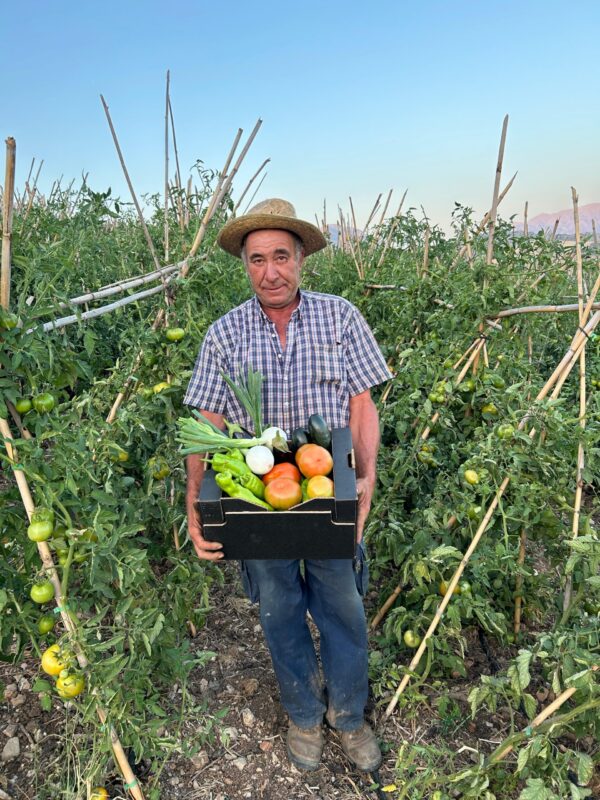 Agricultor mostrando con sus manos una caja con verduras ecológicas de temporada: tomates, calabacines, berenjenas, cebollas y pimientos