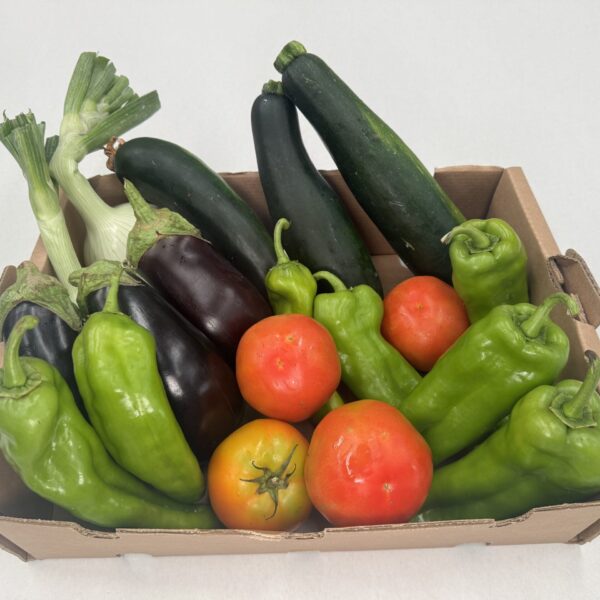Caja de verduras ecológicas con tomates, pimientos, calabacines, berenjenas y cebollas recién recolectadas