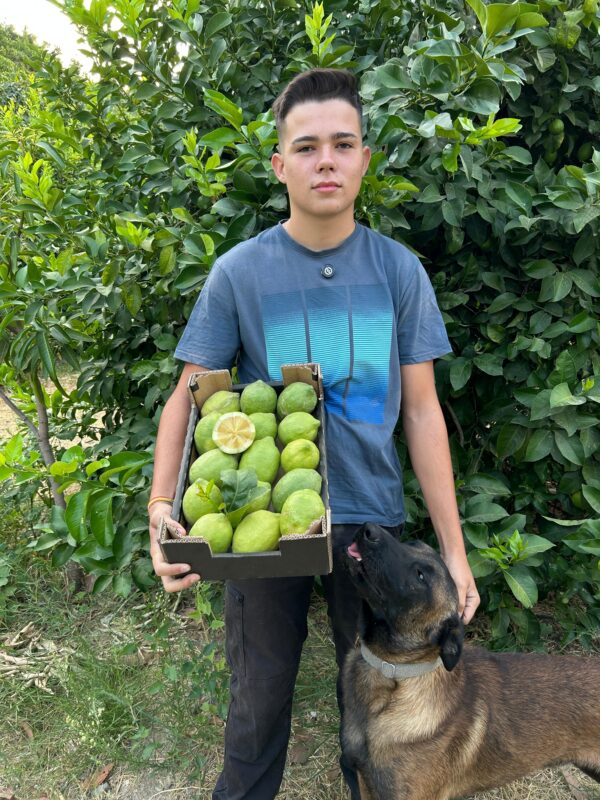 Limón Ecológico - Imagen 2