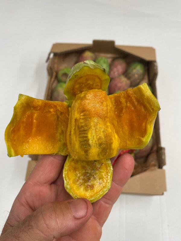 Mano sosteniendo un higo chumbo ecológico amarillo recién pelado