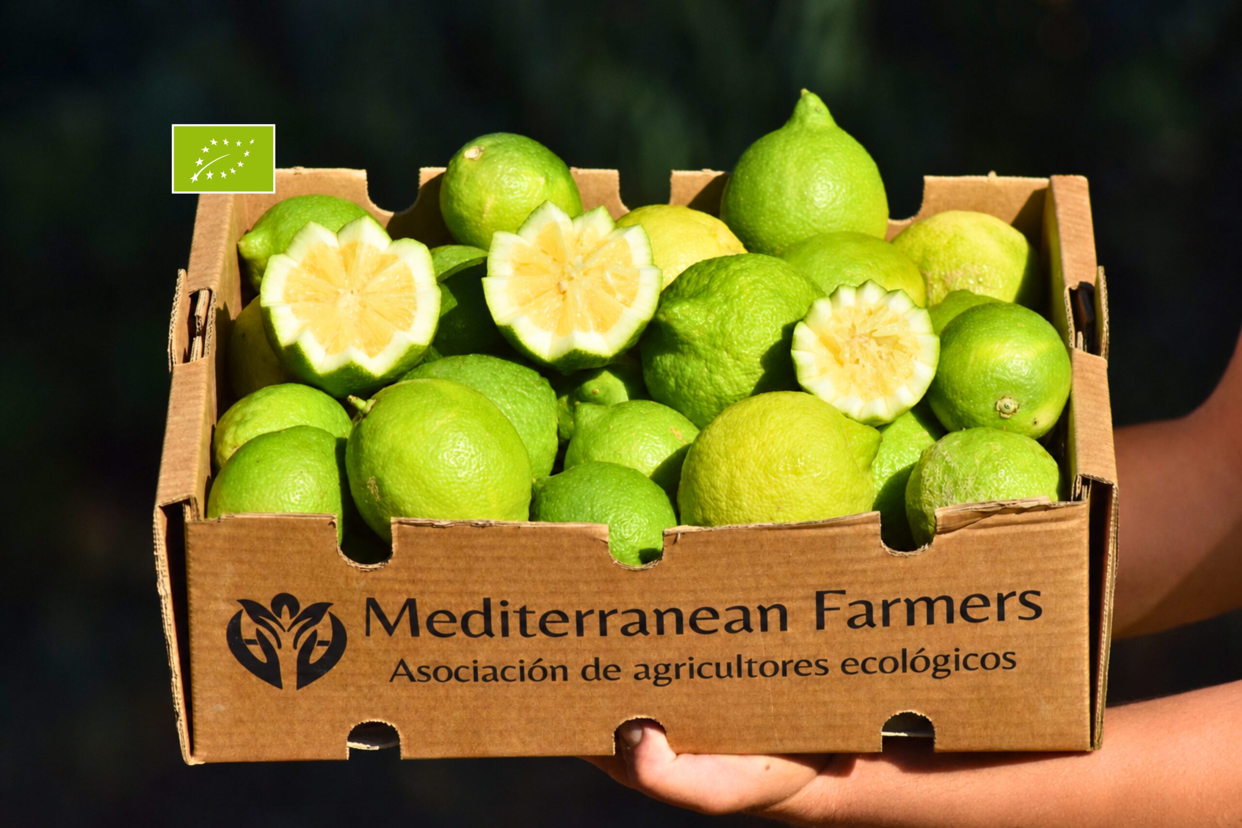 Limón Rodrejo Ecológico