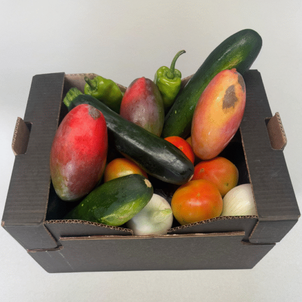 Una caja compuesta por verduras mixtas ecológicas y mangos Osteen ecológicos.