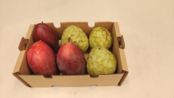 Caja Mixta de Chirimoya y Mango Ecológicos
