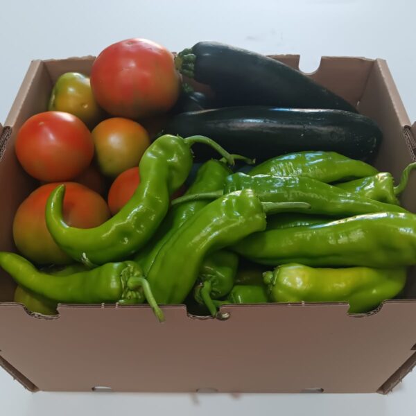Caja mixta de tomates, pimientos verdes y calabacines ecológicos frescos de temporada