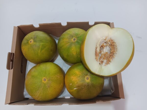 Caja de limelones ecológicos frescos, con uno cortado para mostrar su pulpa jugosa