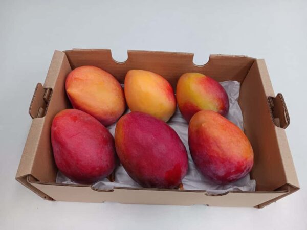 Mango Sensación Ecológico