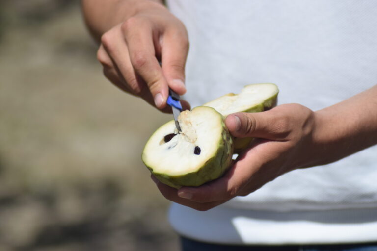 chirimoya ecológica