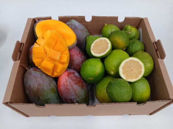 Caja mixta de mango Osteen y limón ecológicos de la Axarquía, con piezas enteras y cortadas para mostrar su interior.