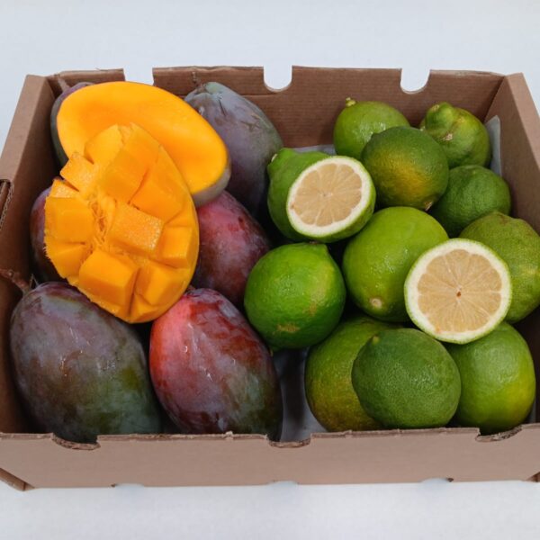 Caja mixta de mango Osteen y limón ecológicos de la Axarquía, con piezas enteras y cortadas para mostrar su interior.
