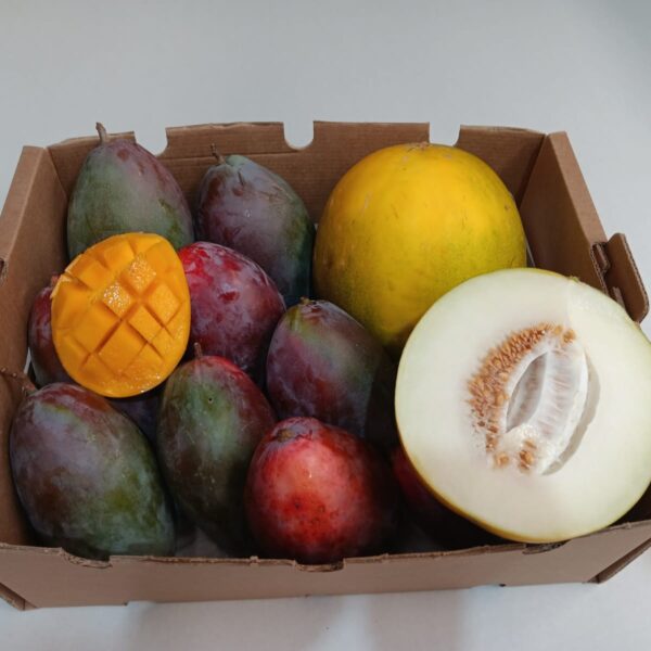 Caja de mangos Osteen y limelones ecológicos con piezas cortadas mostrando su pulpa fresca y jugosa.