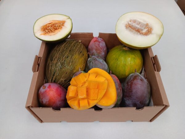 Caja mixta ecológica con mini melón piel de sapo, limelón y mango Osteen, frescos y cortados para mostrar su interior jugoso y natural.