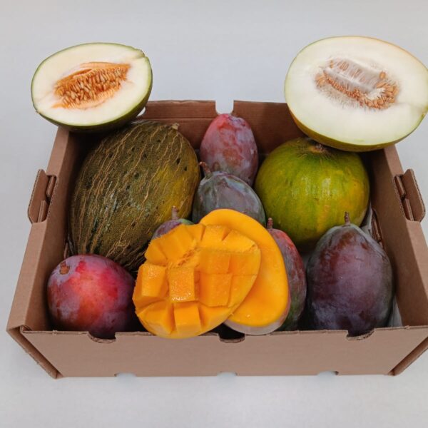Caja mixta ecológica con mini melón piel de sapo, limelón y mango Osteen, frescos y cortados para mostrar su interior jugoso y natural.