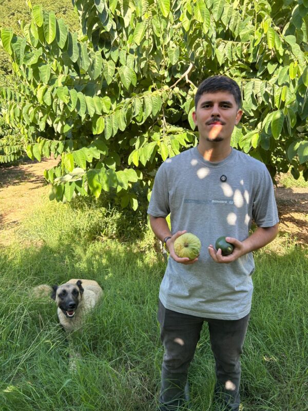 Agricultor Ricardo con caja de chirimoyas ecológicas y su perro en Maro Málaga.