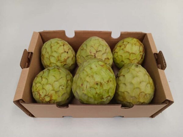 Caja de chirimoyas ecológicas directas del agricultor.