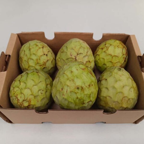 Caja de chirimoyas ecológicas directas del agricultor.