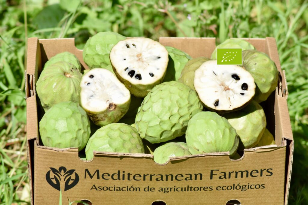 Chirimoya Ecológica