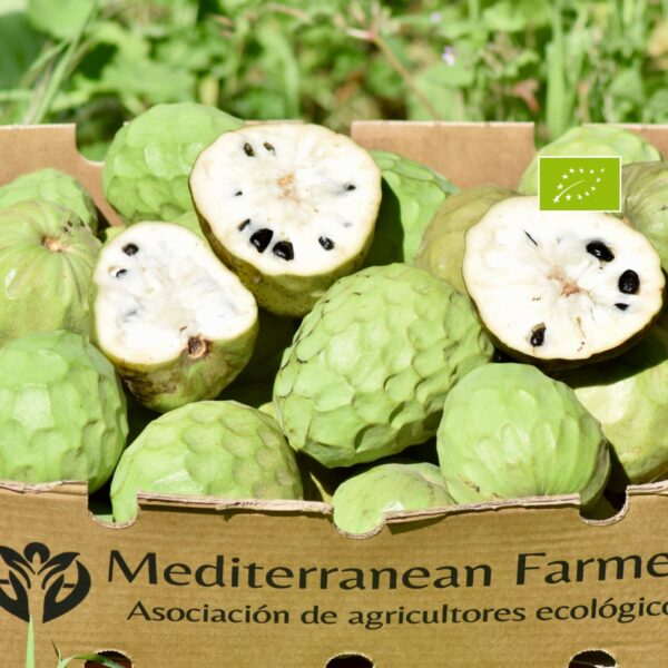Chirimoya Ecológica