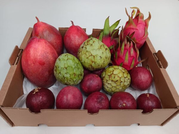 Caja Exclusiva Exótica con mango Osteen, chirimoya, pitaya y maracuyá ecológicas de Mediterranean Farmers.