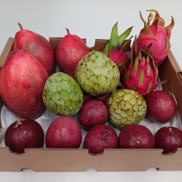 Caja Exclusiva Exótica con mango Osteen, chirimoya, pitaya y maracuyá ecológicas de Mediterranean Farmers.