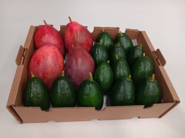 Caja de mangos Osteen y aguacates Bacon ecológicos frescos