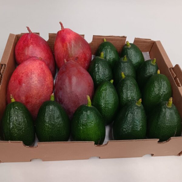 Caja de mangos Osteen y aguacates Bacon ecológicos frescos