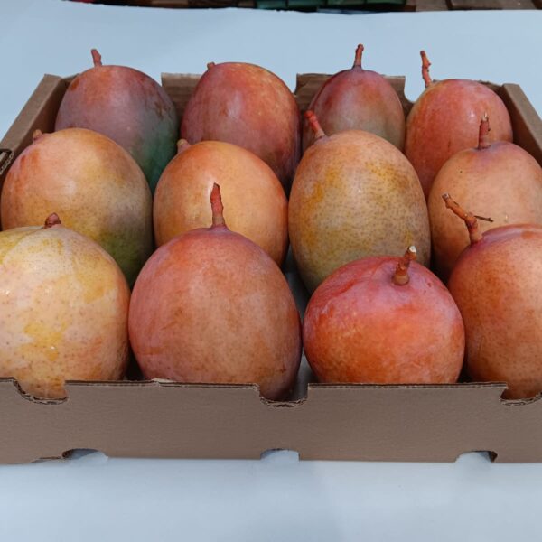 Caja de mangos Keitt ecológicos cultivados por Blas en la Axarquía malagueña, fruta tropical fresca y de producción sostenible.