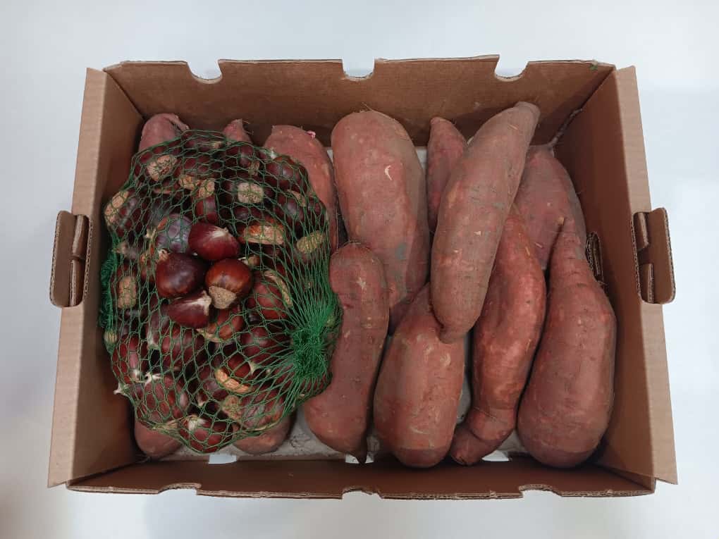 Caja Otoñal de Boniato y Castañas