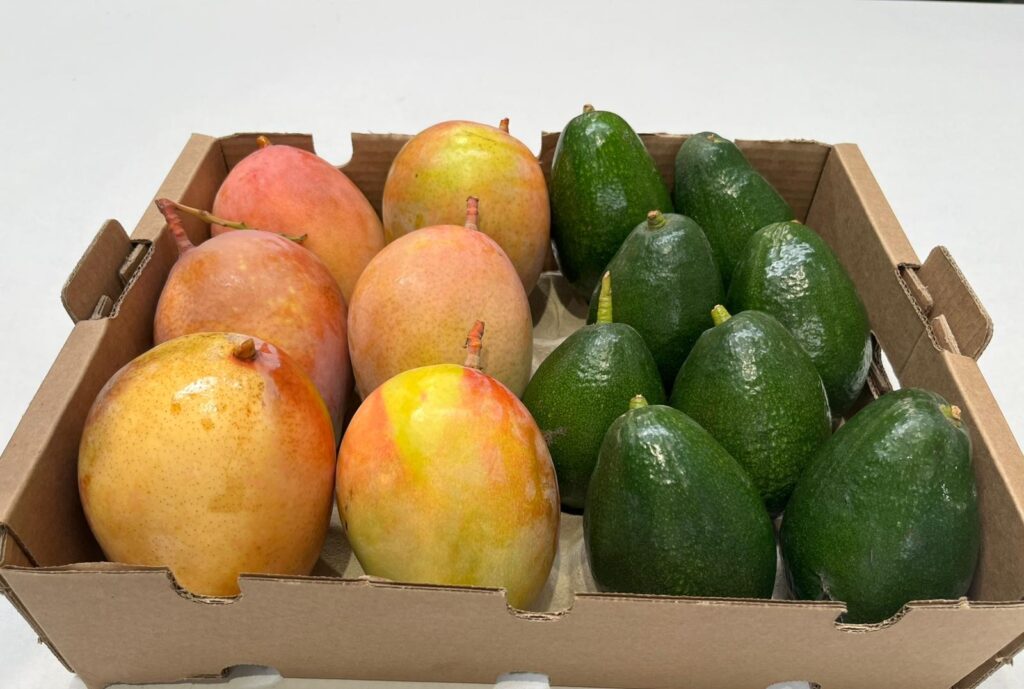 Mango Keitt y Aguacate Bacon Ecológicos
