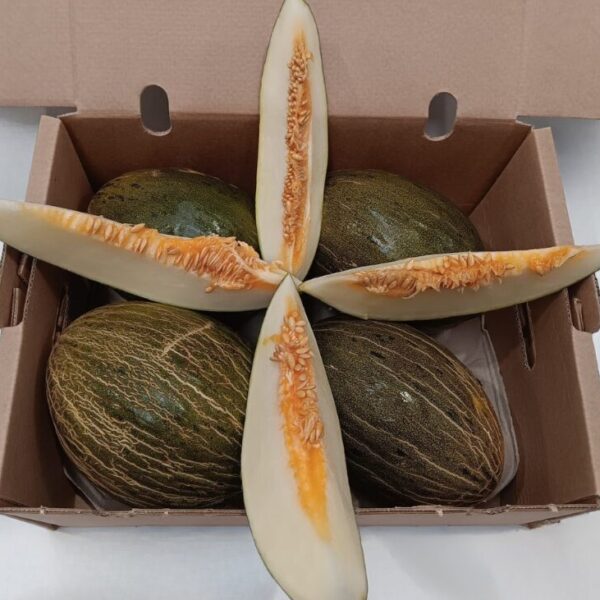 Caja con mini melones piel de sapo ecológicos cultivados por Antonio en Periana, Málaga. Fruta fresca y sostenible de Mediterranean Farmers.