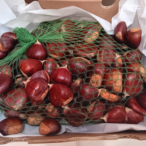 Caja con castañas en conversión a ecológico de la Sierra de las Nieves, listas para enviar desde Mediterranean Farmers.