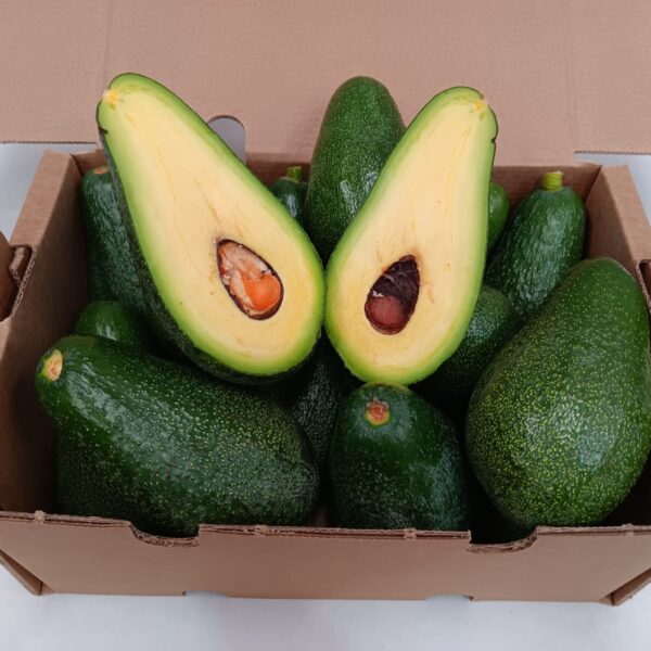 Caja de aguacates Fuerte ecológicos de La Axarquía con uno cortado, fruta fresca directa del agricultor