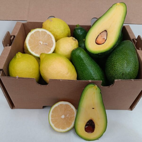 Caja mixta con aguacates Fuerte ecológicos y limones de La Axarquía, con ambas frutas cortadas para mostrar su pulpa fresca