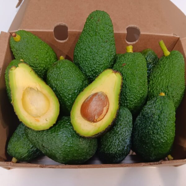 Caja con aguacates Hass ecológicos de La Axarquía, uno cortado para mostrar su pulpa amarilla y piel rugosa oscura