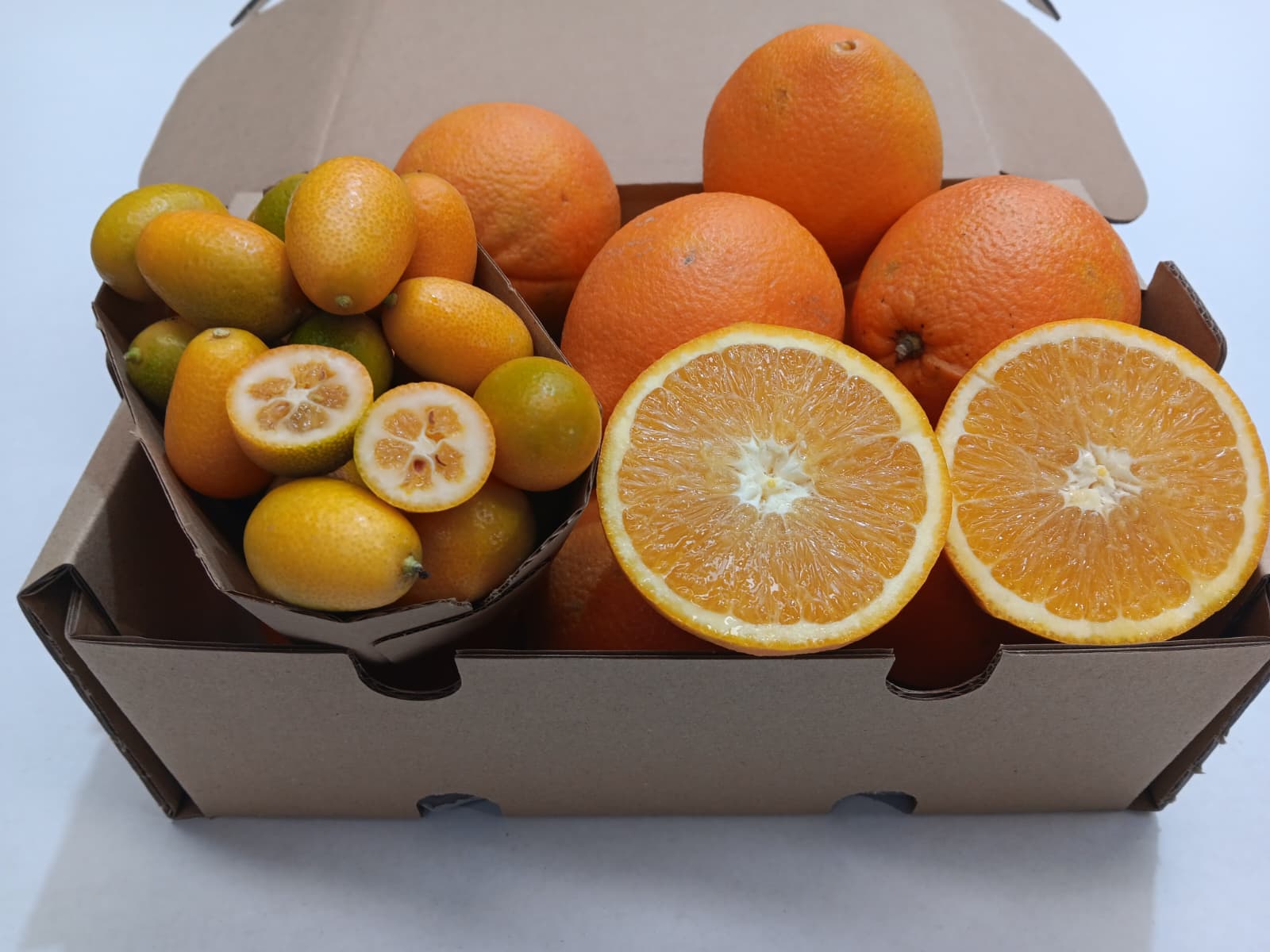 Caja mixta de kumquat ecológico y naranjas ecológicas recién recolectadas de la Axarquía