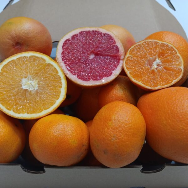 Caja de fruta ecológica con mandarinas, pomelos y naranjas recién recolectadas, con una naranja abierta mostrando su pulpa fresca.