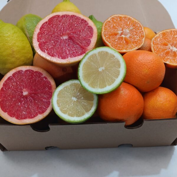 Caja mixta de pomelo, limón y mandarina ecológicos recién recolectados, fruta fresca de la Axarquía enviada del agricultor a domicilio.