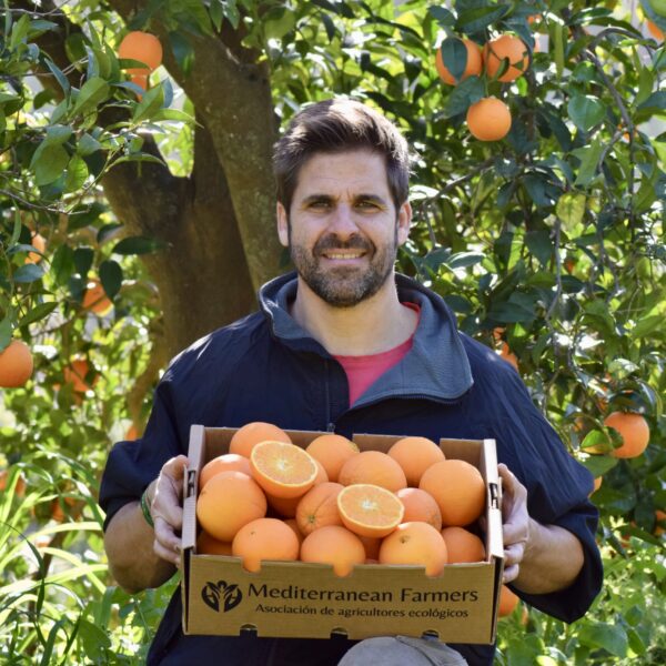 Agricultor sosteniendo una caja de naranjas ecológicas recién recolectadas en la Axarquía