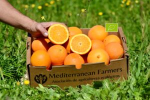 Producto Mediterranean Farmers