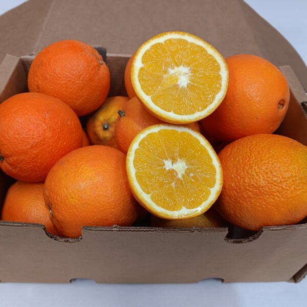 Caja de naranjas ecológicas recién recolectadas, con una naranja abierta mostrando su interior jugoso y natural.