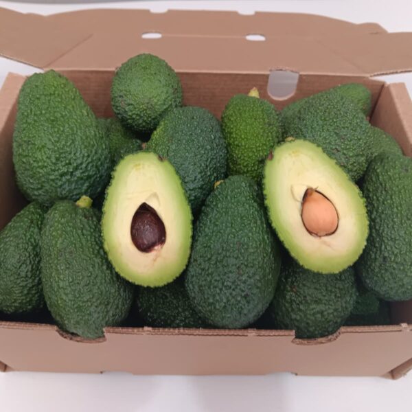 Aguacates baby ecológicos variedad Hass cultivados en la Axarquía