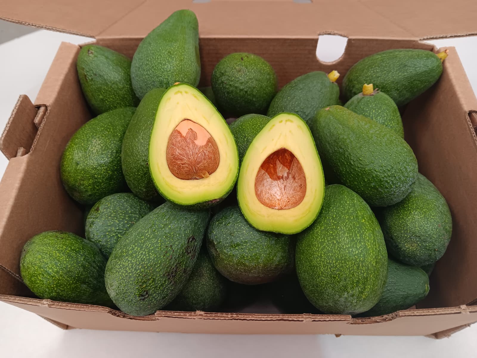 Aguacates Baby Ecológicos - Imagen 2