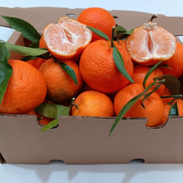 Caja de mandarinas ecológicas recién recolectadas, dulces y fáciles de pelar, cultivadas en la Axarquía y enviadas directamente del agricultor.