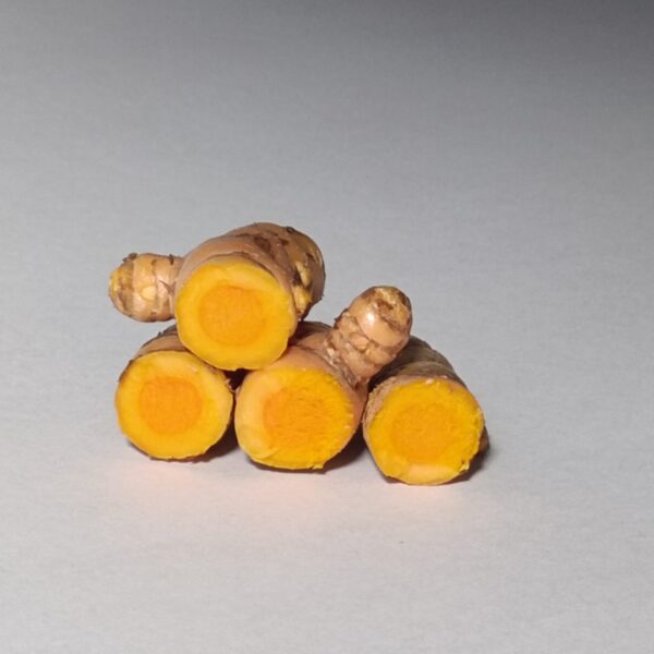 Cúrcuma ecológica cortada por la mitad para que se pueda ver su interior