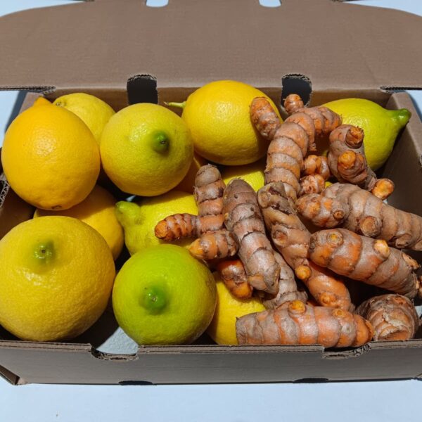 Cúrcuma ecológica fresca en raíz y limón ecológico de la Axarquía