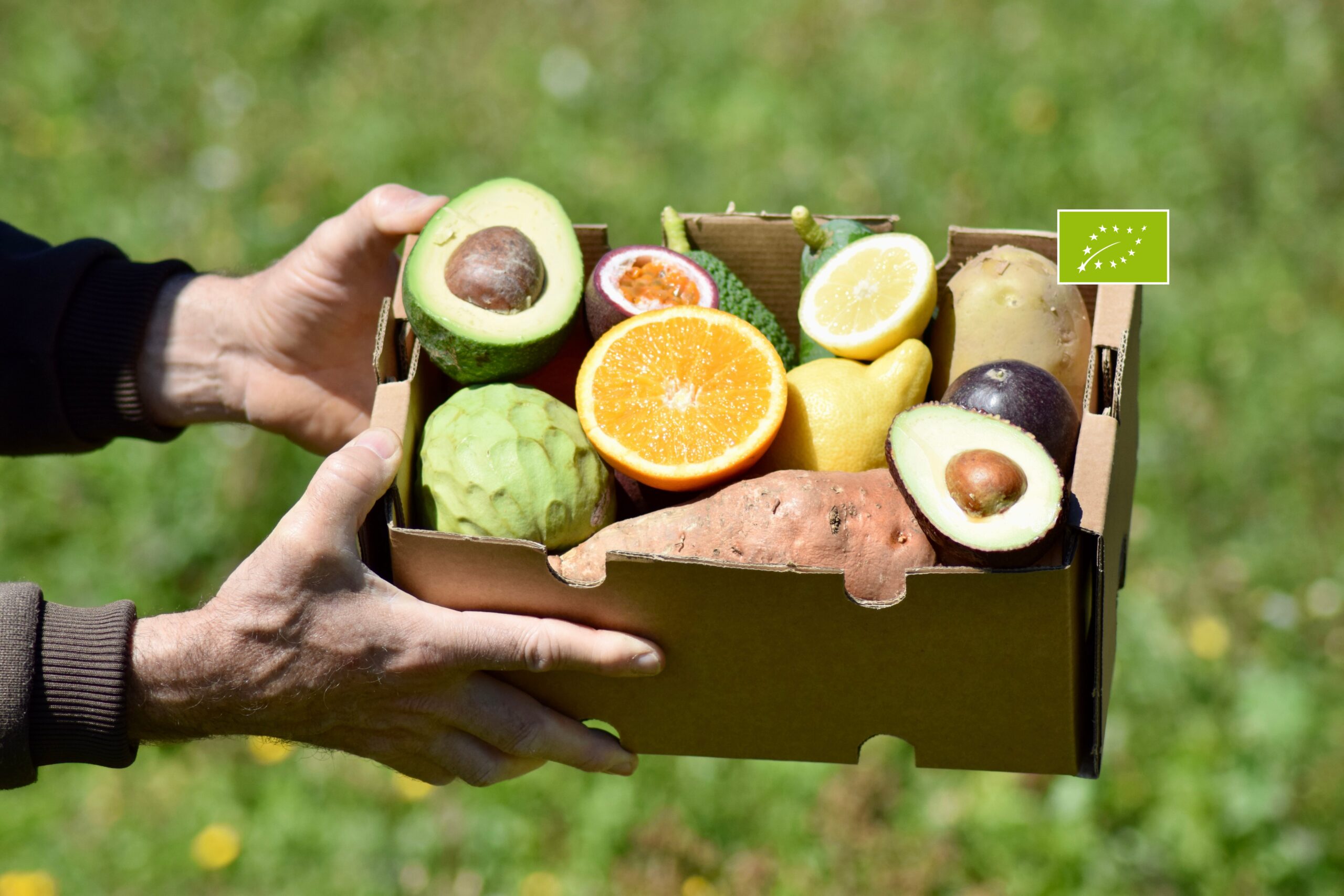 caja degustación ecologica Mediterranean Farmers