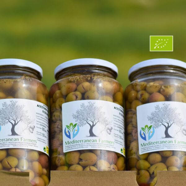 Aceitunas Ecológicas Verdial partidas