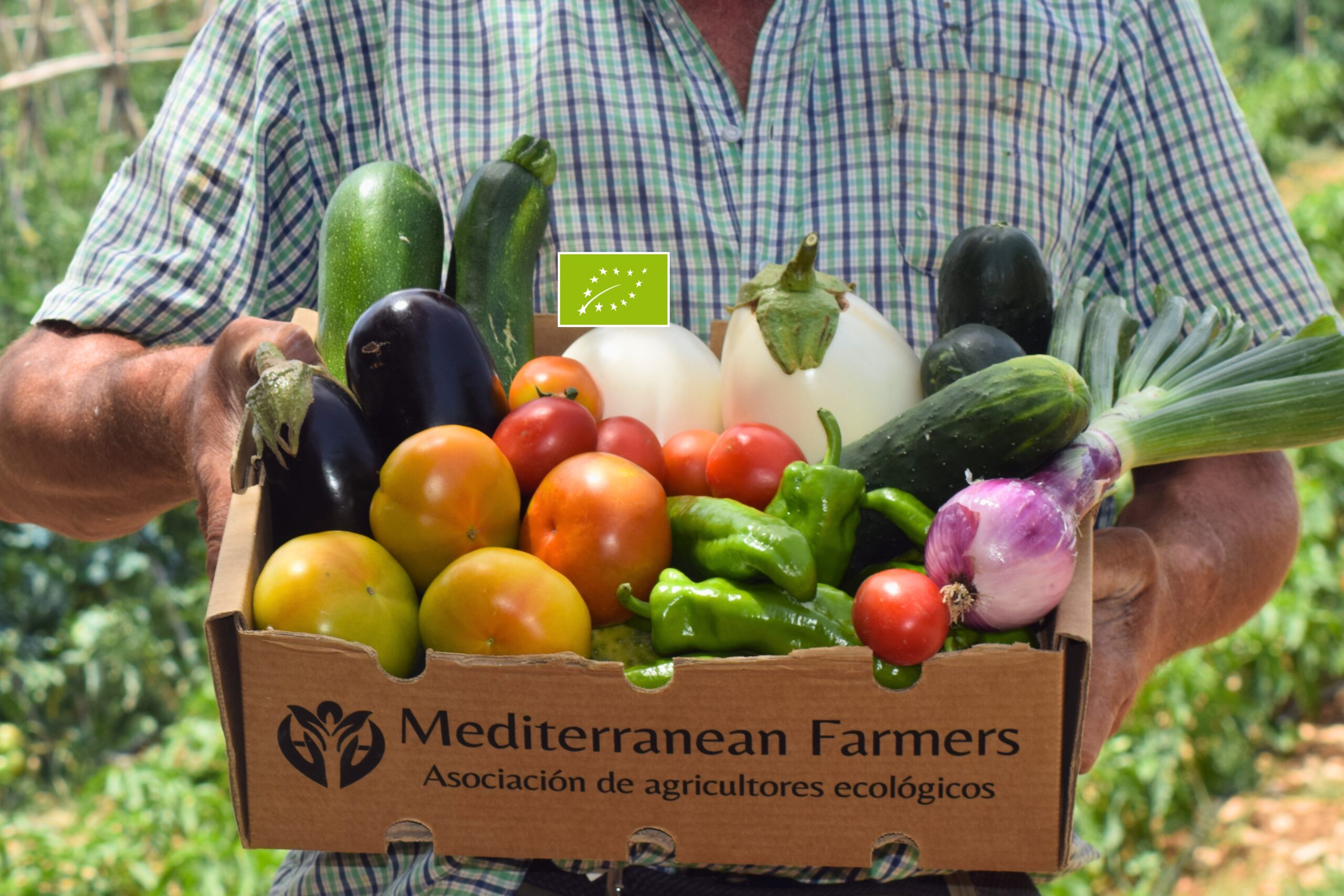 Caja de Ensalada Rescatada con tomate ecológico y una selección variable de verduras ecológicas de temporada.